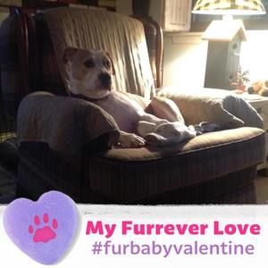 Meet your Posher, June